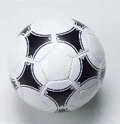 败给,经验不足成,关键因素,天博体育平台,天博体育官方网站,天博体育登录入口,天博体育app下载