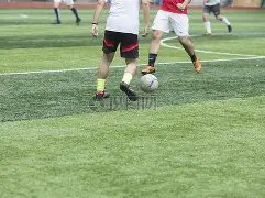 败给,经验不足成,关键因素,天博体育平台,天博体育官方网站,天博体育登录入口,天博体育app下载