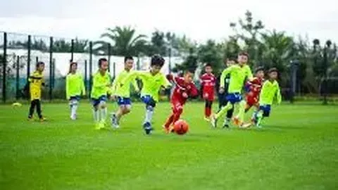 天博体育 产品 085144 80b