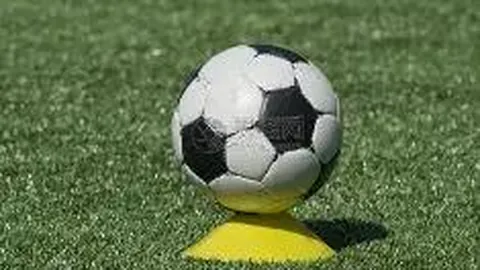 天博体育 资讯 084950 gbu