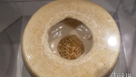 “C罗世界杯进球数据完整回顾”